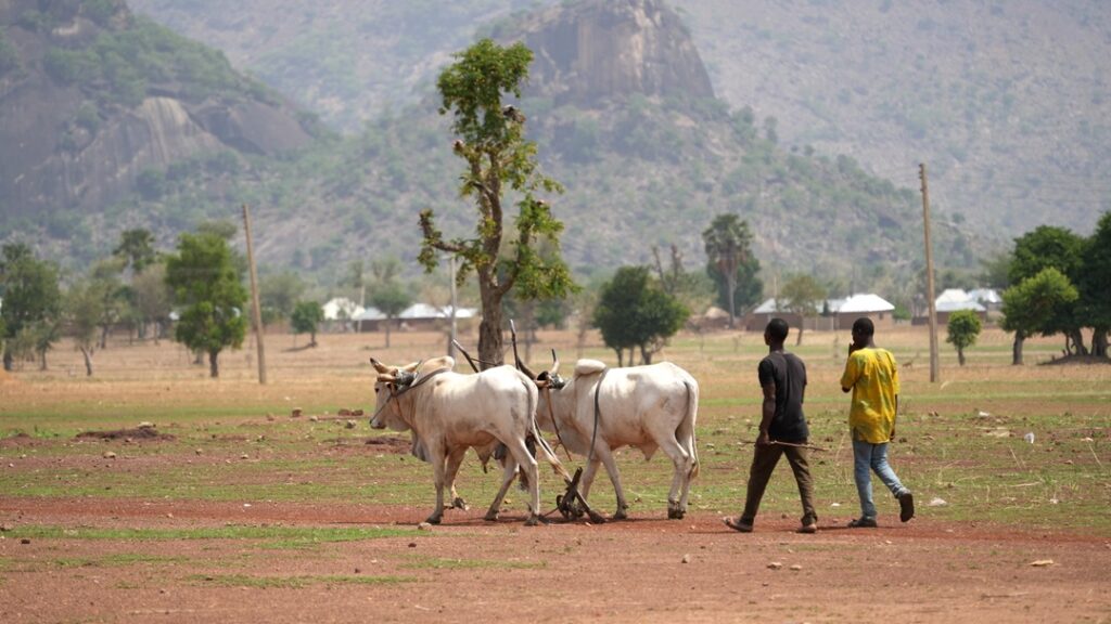 Ataque a estudo bíblico deixa 5 mortos na Nigéria